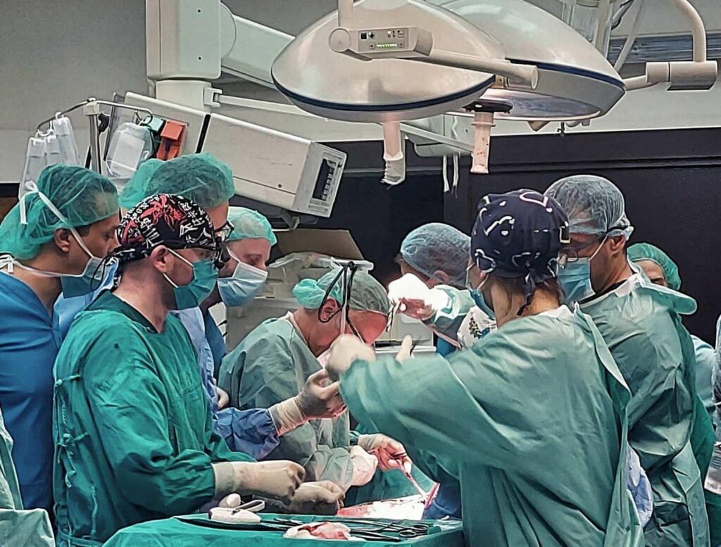 t1vf1zvgtyvkgufiqzy1