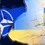 63396a9a162b4494141019