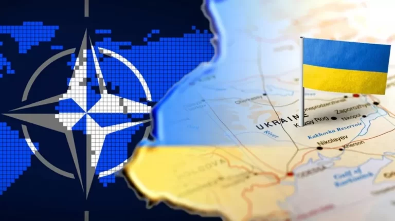 63396a9a162b4494141019