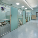 Faithful-Friends-interior