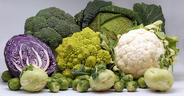 flat-belly-cruciferous-veggies