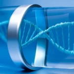 3d-representation-dna23-2150471430