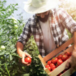 79133_depositphotos-187663426-l_f