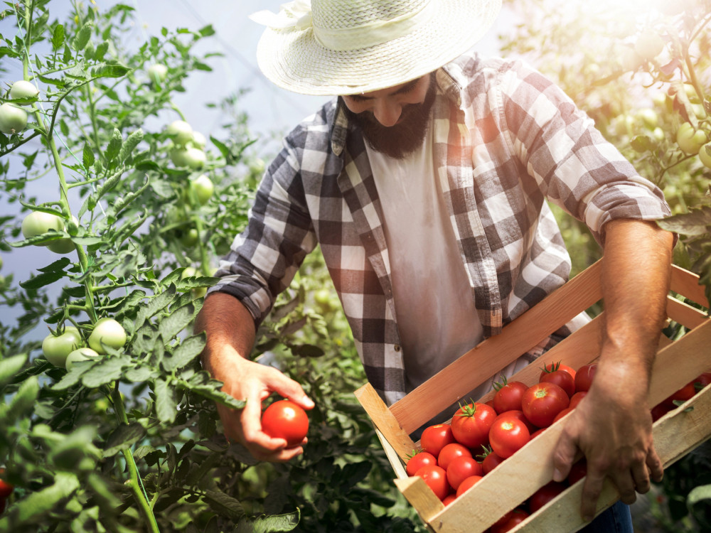 79133_depositphotos-187663426-l_f