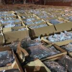 marihuana-sarbija-01-640x480