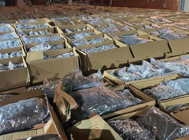 uploads_thumbs_resize_800x420_738636-1-768x569