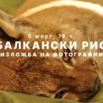 00000001-505-660x382