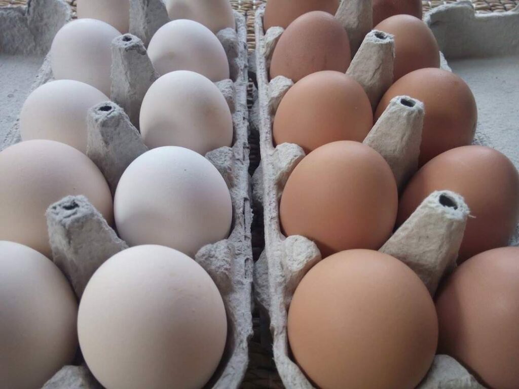 1674644493-FB_IMG_1674644429713