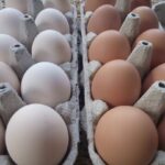 1674644493-FB_IMG_1674644429713