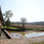 20230714113757_big_730x400_48-1 (1)