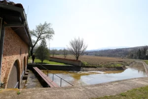 20230714113757_big_730x400_48-1 (1)