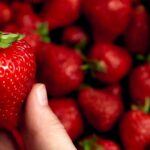 8c62a5bee5cae80e9c135d990703ebc0_2197068_1920x1080