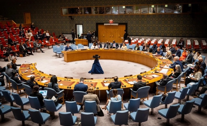 sovet-za-besbednost-on