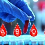 1069057_shutterstock-1811497411_f