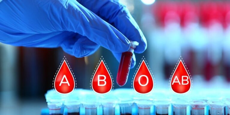 1069057_shutterstock-1811497411_f