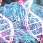 1fe202f43770ea85cdf7_62954381