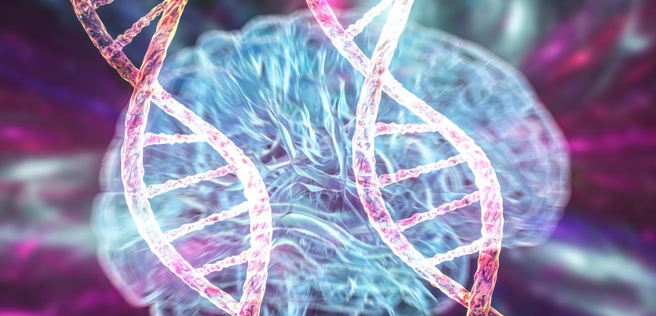 1fe202f43770ea85cdf7_62954381