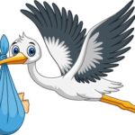 cartoon-of-a-cute-stork-carrying-a-newborn-baby-free-vector