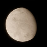 venera