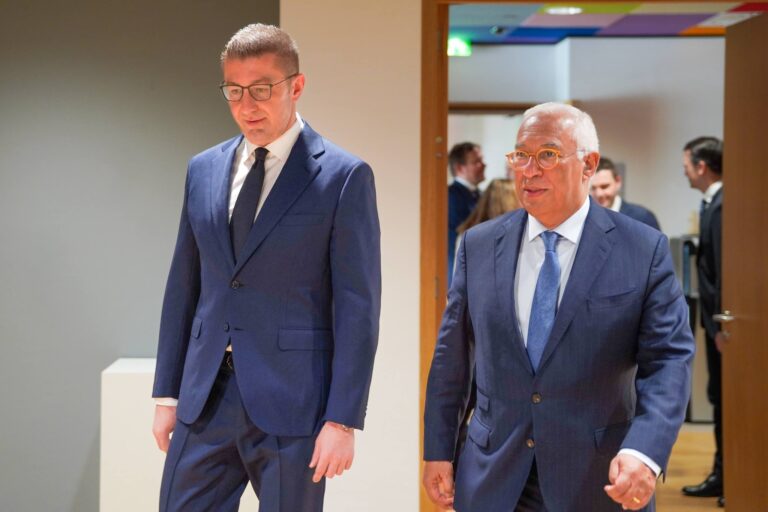 micko i koshta